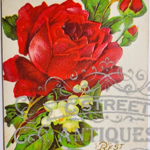 Beste wensen Vintage Postkaart, Digitaal bestand, ansichtkaart, antiek, grafisch, bloemen, reizen, bloemen, beste wensen, groeten, antiek