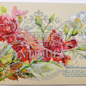Flower Vintage Post Card, Digital file, postcard, antique, graphic, flowers, travel, flower, floral, violet, antique