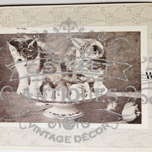 Meilleurs vœux carte postale vintage, fichier numérique, carte postale, antique, graphique, fleurs, voyage, floral, meilleurs vœux, chats, gris, noir et blanc