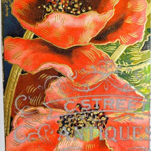 Flower Vintage Post Card, Digital file, postcard, antique, graphic, flowers, travel, flower, floral, antique