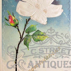 Félicitations carte postale vintage, fichier numérique, carte postale, antiquité, graphique, fleurs, félicitations, compliment, félicitation, antiquité