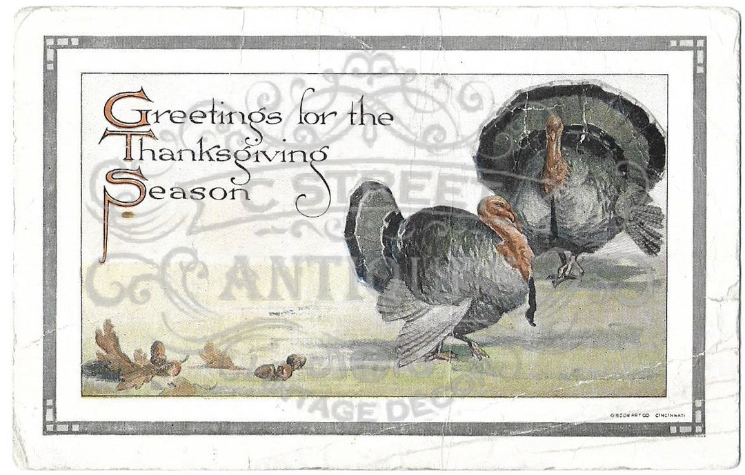 Thanksgiving Vintage Post Card, Digital File, Postcard, Antique ...