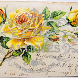 Cartolina d'epoca fiore, file digitale, cartolina, antico, grafica, fiori, viaggio, fiore, floreale, viola, antico