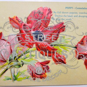 Flower Vintage Post Card, Digital file, postcard, antique, graphic, flowers, travel, flower, floral, antique