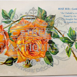Flower Vintage Post Card, Digital file, postcard, antique, graphic, flowers, travel, flower, floral, antique
