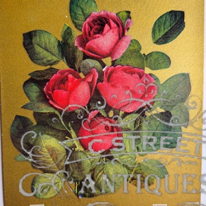 Flower Vintage Post Card, Digital file, postcard, antique, graphic, flowers, travel, flower, floral, antique