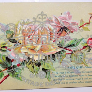 Flower Vintage Post Card, Digital file, postcard, antique, graphic, flowers, travel, flower, floral, violet, antique