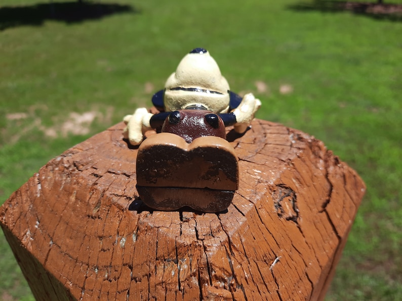 May include: A quirky frog ornament with a cream head, dark blue details, and brown features. The frog sits on a weathered, brown wooden post. The background shows green grass and a sunny day.