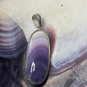 May include: A silver pendant featuring a purple and white shell with a smooth, oval shape.