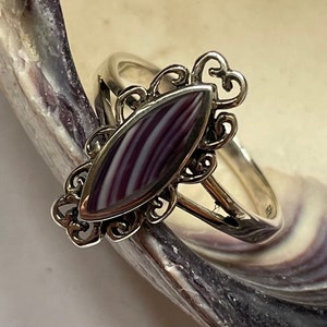 R1000 Wampum quahog ring sterling silver pointed oval shape