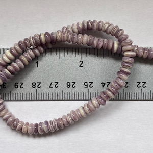 Wampum Quahog Shell Roundel Beads • 12 mm Size • 40 cm length