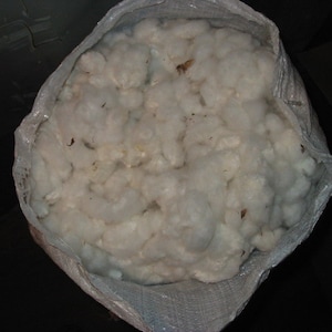 May include: A white cotton bag filled with white cotton balls. The bag is made of a thin, white material and is tied at the top with a string.