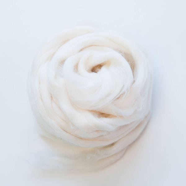 1 lb. Raw Organic Cotton sliver, roving, spinning