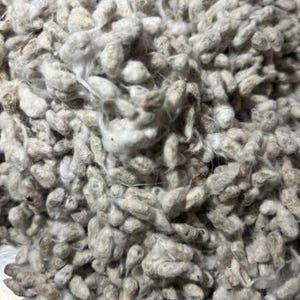 May include: Close-up of raw cotton fibers, showing a mass of light gray and off-white fluffy cotton bolls. The image highlights the natural texture and color variations of the unprocessed cotton.
