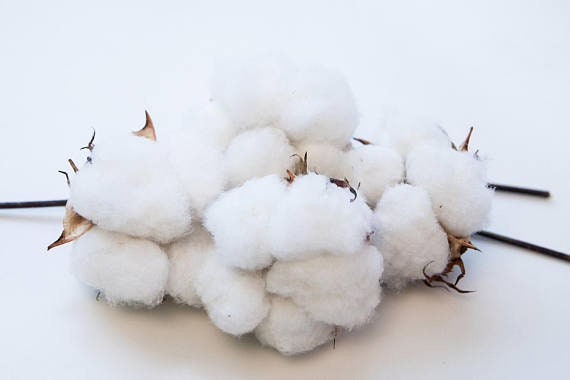 50 #1 Baumwoll Das Wirkliche mit KEINE FAUX