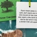 Money Tree Seeds - Etsy