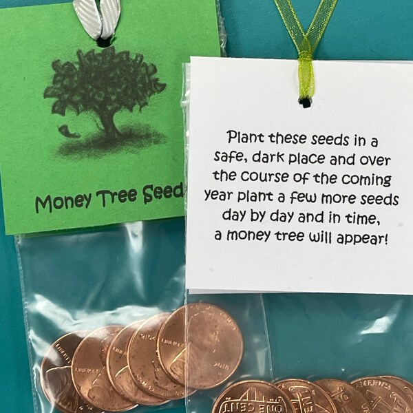 Tree Seeds - Etsy