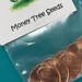 Money Tree Seeds - Etsy