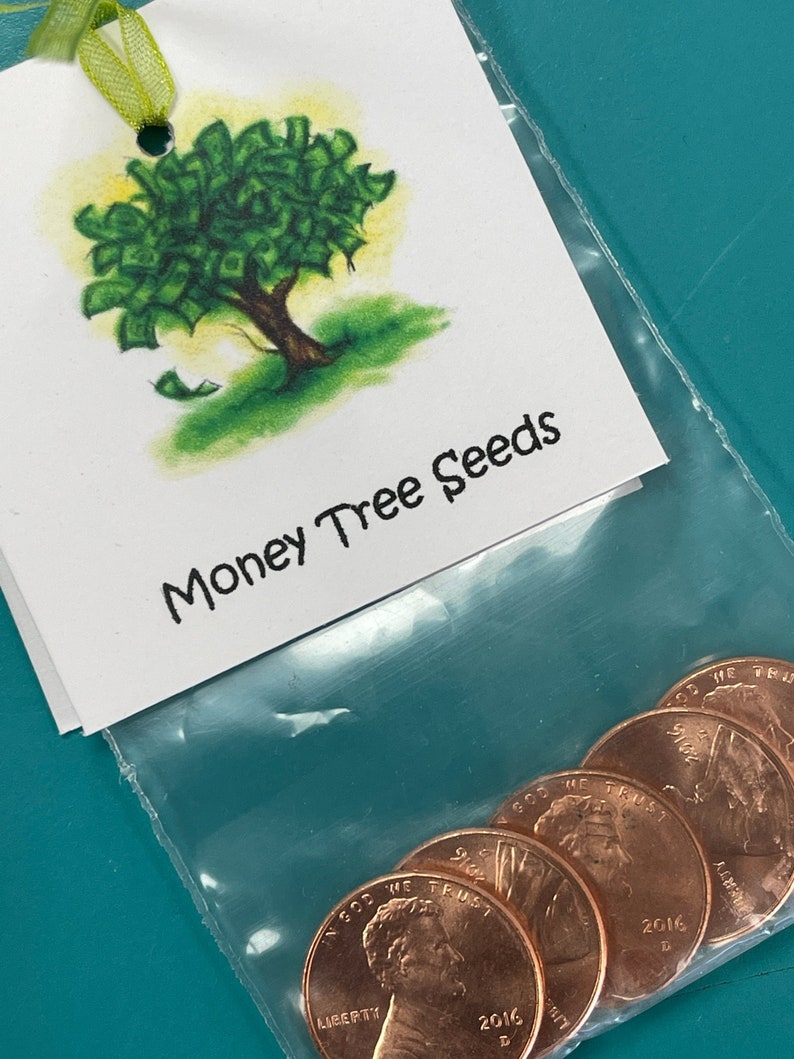 Money Tree Seeds Etsy