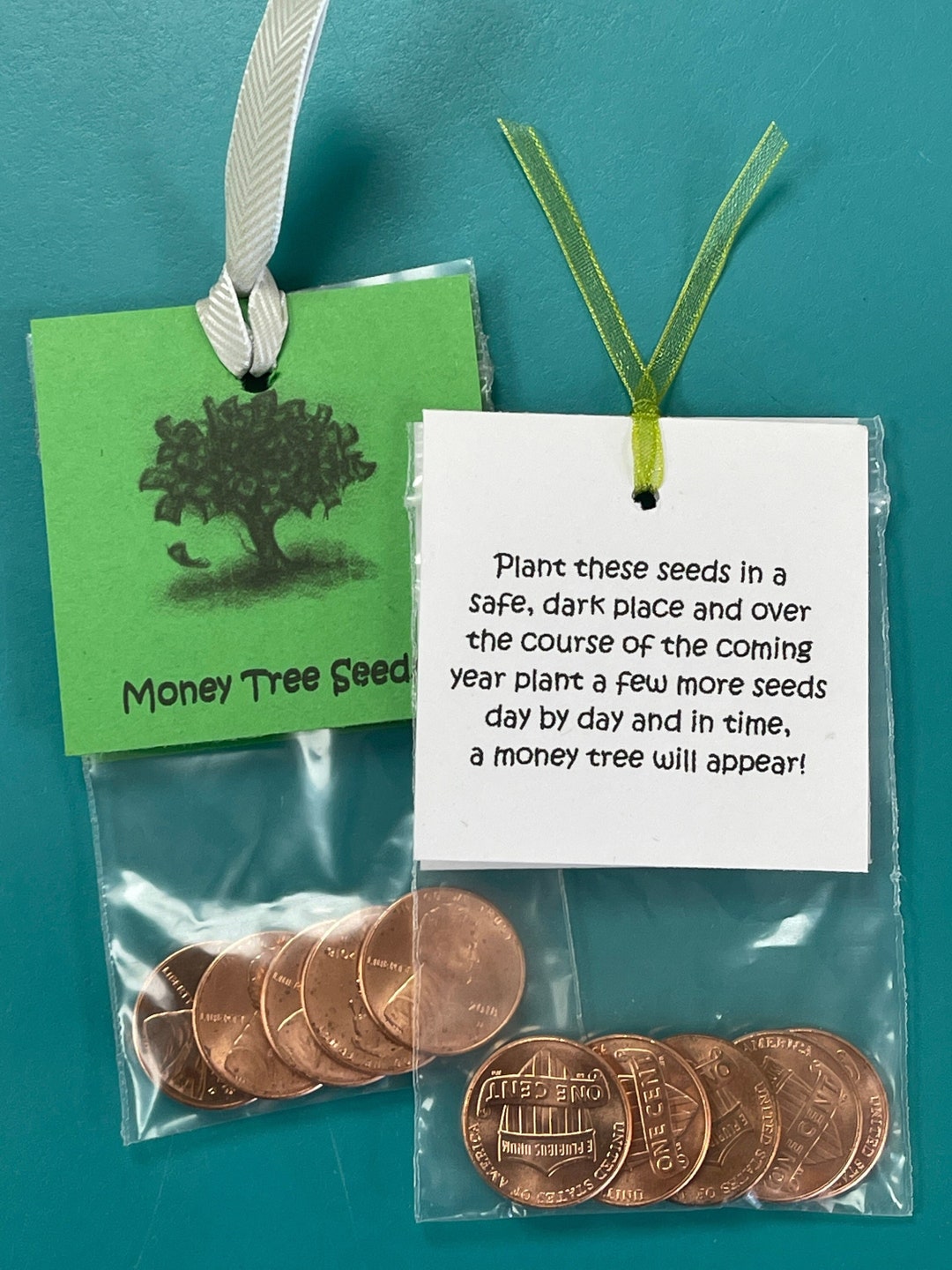 Money Tree Seeds Etsy