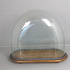 May include: A clear glass display dome with a wooden base. The base is rectangular with rounded corners and a light blue rope trim. The dome is arched and sits on the base, creating a protective cover for displaying items.