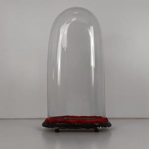Antike viktorianische ovale mundgeblasene Glaskugel-Kuppel-Puppenuhr 52 cm H 24 cm B 15 cm T
