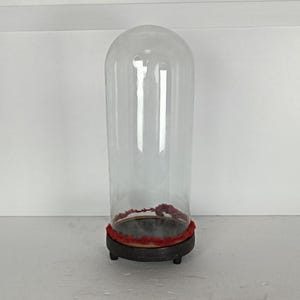 Antique rond dôme en verre soufflé à la main présentoir steampunk globe 14,96 po. D 6,1 po.
