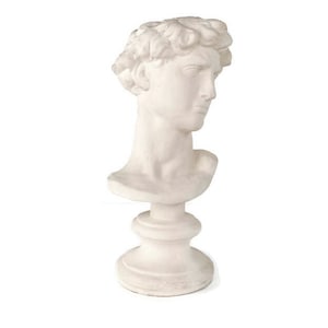 Bust Vintage David Head after Michelangelo Decoration