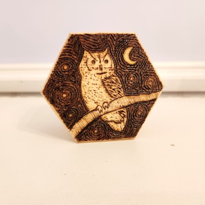 Peut inclure: Une plaque hexagonale en bois avec un motif brûlé au bois d'un hibou perché sur une branche avec une lune croissante en arrière-plan.