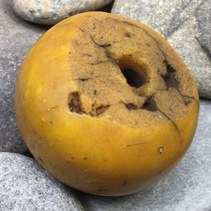 Old Butterscotch  Amber Bead, Moroccan Copal Resin Bead, North African Jewelry, collectable bead, jewelry supplies, phenolic resin beads