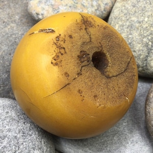 Old Butterscotch  Amber Bead, Moroccan Copal Resin Bead, North African Jewelry, collectable bead, jewelry supplies, phenolic resin beads