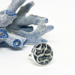 Fossilized Coral Ring