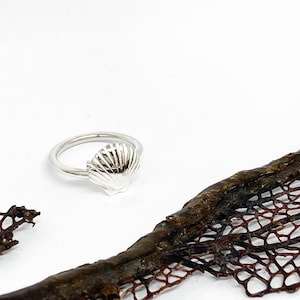 Scallop Shell Ring
