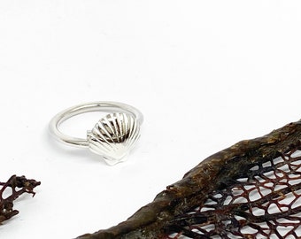 Scallop Shell Ring