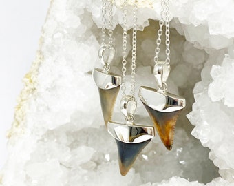Sacred Tides Great White Necklaces