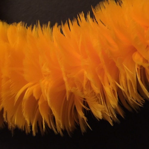 Leihulu poepoe first（yellow） Hawaiian Feather Lei, FRAMED, Lei