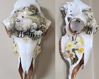 Painted Sheep Skulls