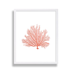 Coral Print Beach Cottage Art Print Minimalist Artwork Home Decor Living Room Art Apartment Poster Nautical House Staging Interior Design image 1