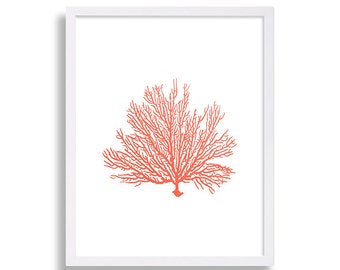 Coral Print Beach Cottage Art Print Minimalist Artwork Home Decor Living Room Art Apartment Poster Nautical House Staging Interior Design