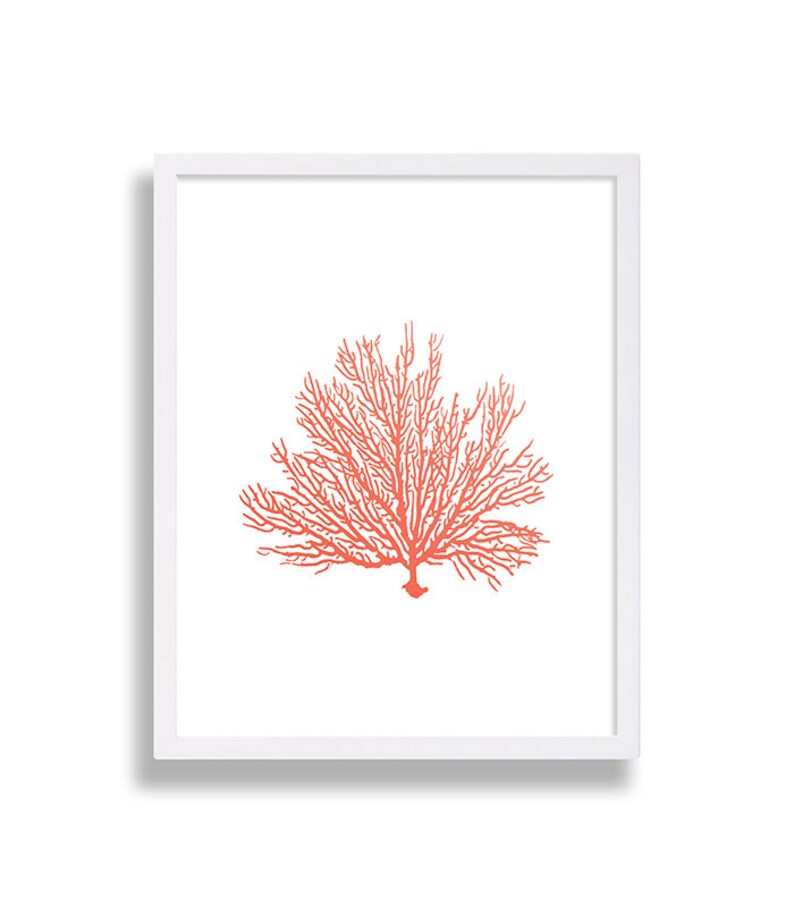 Coral Print Beach Cottage Art Print Minimalist Artwork Home Decor Living Room Art Apartment Poster Nautical House Staging Interior Design image 1