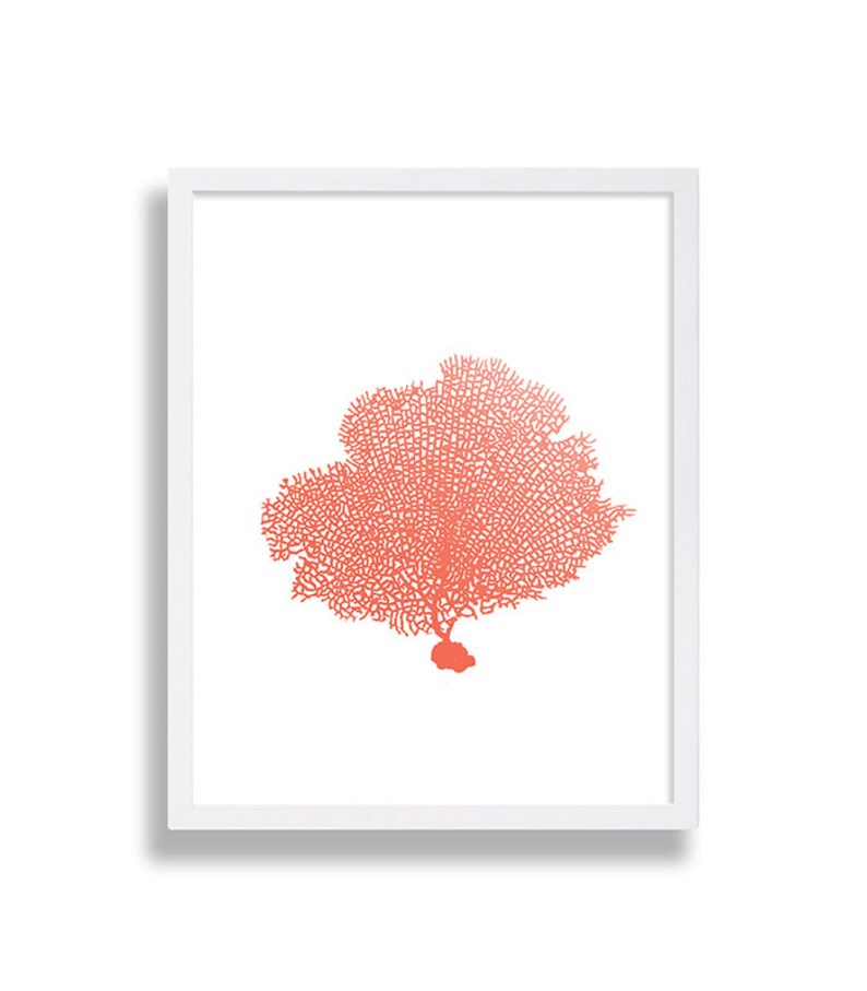 Coral Wall Art Prints Coral Color Decor Coral Prints Water Etsy Australia