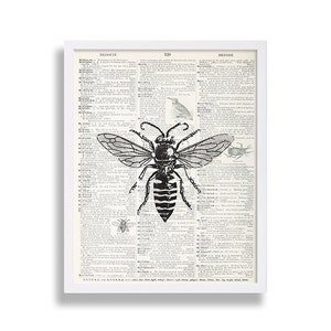 May include: A framed print featuring a detailed black and white illustration of a wasp, set against a vintage dictionary page background. The print is encased in a white frame, adding a classic touch to the insect-themed artwork.