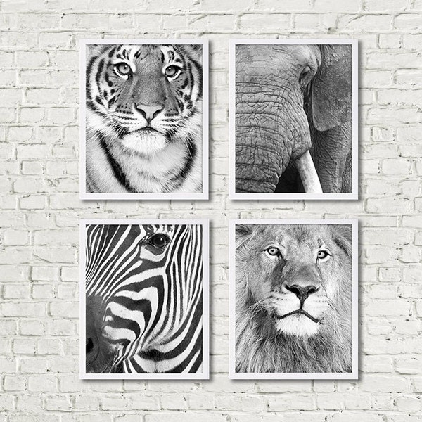 Four Animal Prints Safari Animal Art Prints Zebra Lion Tiger Elephant Modern Art Animal Photography Black and White Photography Home Decor