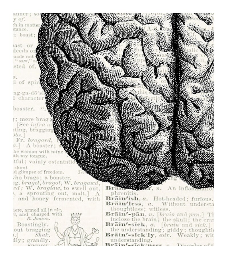 May include: A black and white illustration of a human brain. The image is from an old medical textbook and includes text about the brain and its functions.
