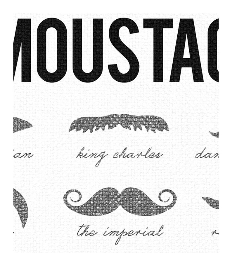 May include: Black and white graphic print with the word "Moustache" at the top. The print features different types of moustaches with names like "King Charles" and "The Imperial".