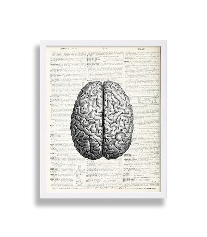 May include: A black and white anatomical illustration of the human brain, printed on a page from an old medical textbook. The text on the page includes the word "Brain".