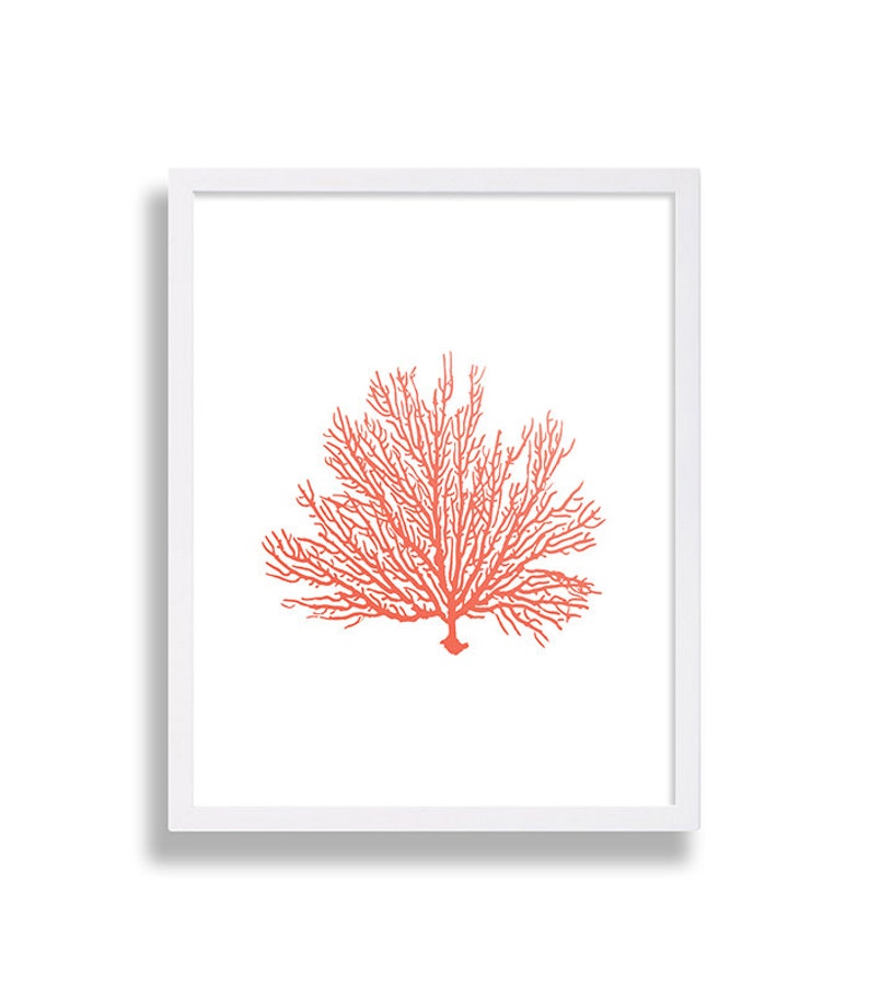 Coral Wall Art Prints Coral Color Decor Coral Prints Water | Etsy