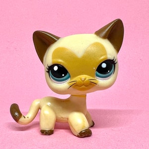 Lps shorthair 3573 hotsell