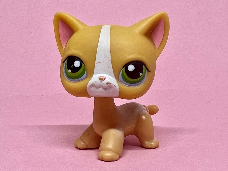 Littlest Pet Shop Authentic LPS Shorthair Cat 72 / Main 5 / Etsy