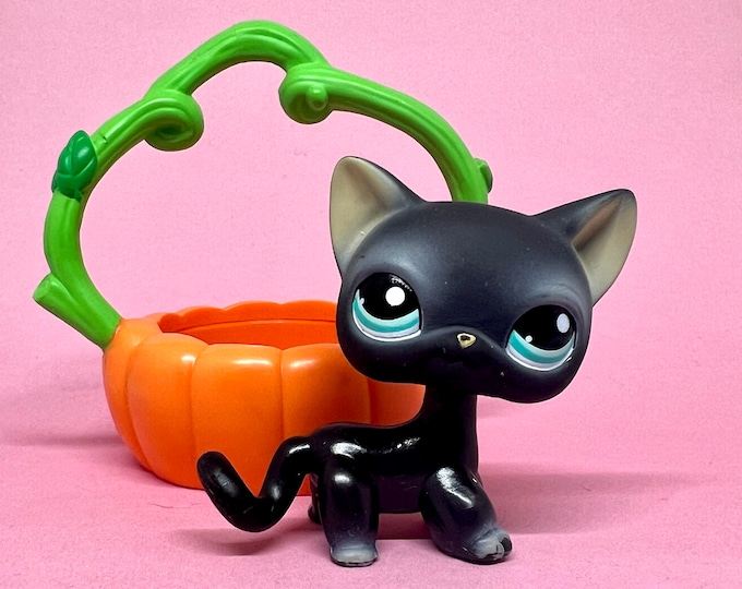 Littlest Pet Shop Authentic LPS Black Shorthair Cat #994 With Pumpkin ...